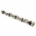 Codicilos 20080721 Voodoo Hydraulic Roller Camshaft for Small Block Chevrolet LT1-LT4 CO3085678